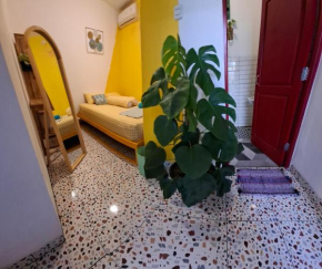 The Backyard Hostel